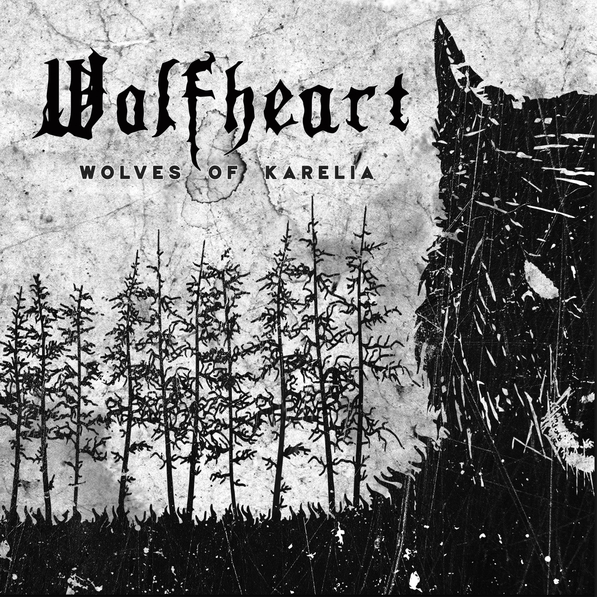 Wolfheart🐺Wolves Of Karelia | video review